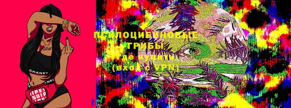 PSILOCYBIN Волоколамск