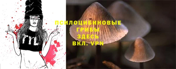 PSILOCYBIN Волоколамск