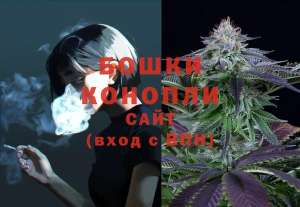 PSILOCYBIN Волоколамск
